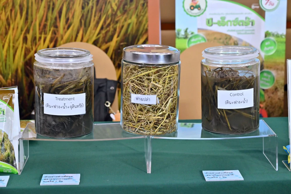 Ministry of Agriculture Supports "Burn Less, Breathe Clean" by Bangchak and BBGI Helping Thai Farmers Reduce Rice Straw Burning to Cut PM 2.5 with Microbial Technology