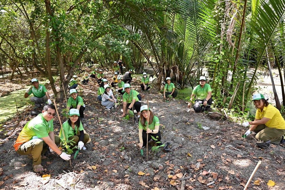 Years of Green Stewardship – Bangchak Preserves Bang Kachao through Forest Restoration and Education