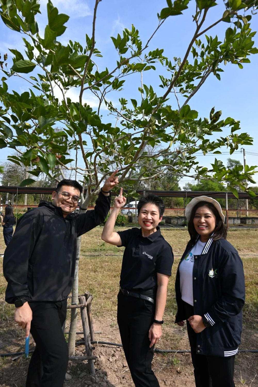 Bangchak Group Advances SAF Feedstock Security through “Farm to Fly” Partners with RMUTI to Develop Pongamia Using Smart Technology