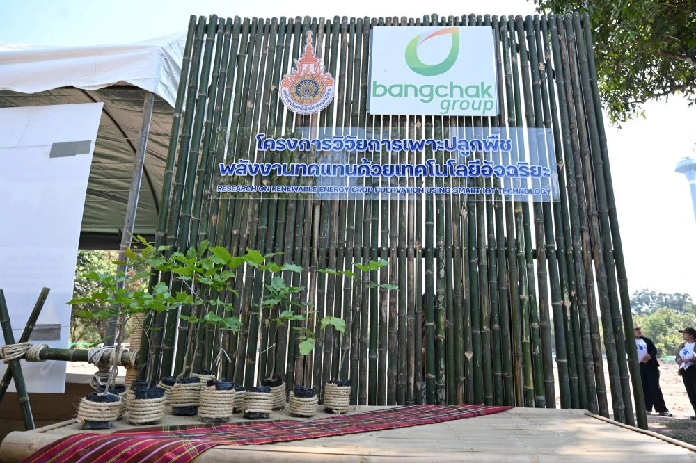 Bangchak Group Advances SAF Feedstock Security through “Farm to Fly” Partners with RMUTI to Develop Pongamia Using Smart Technology