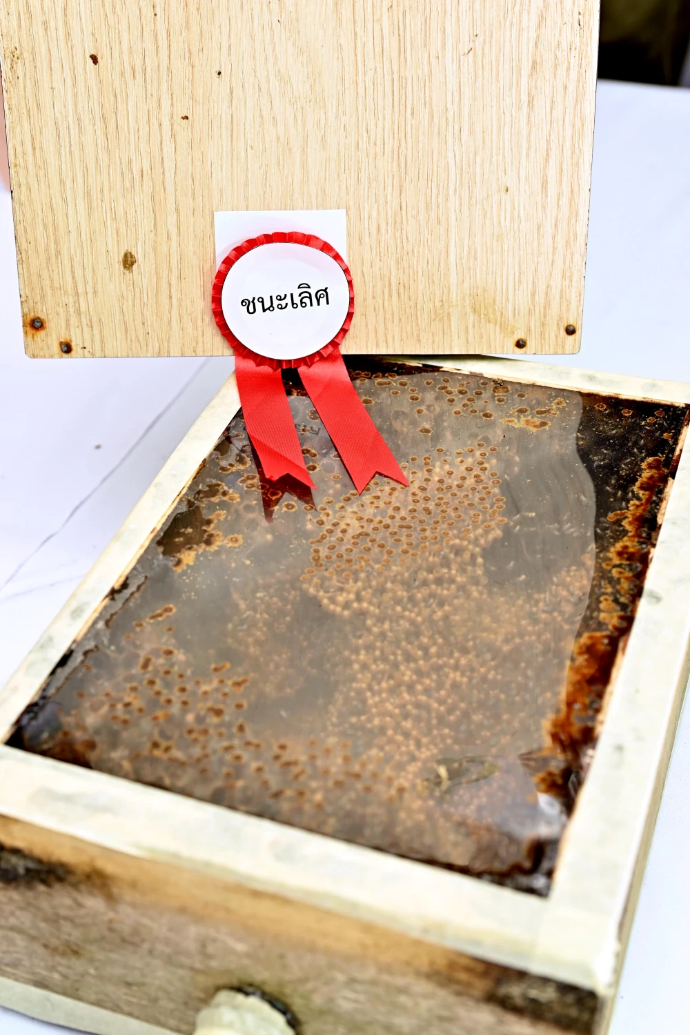 Bangchak Supports World Bee Day 2026 Promoting Conservation and Supporting Bang Nam Phueng’s Green Community Economy